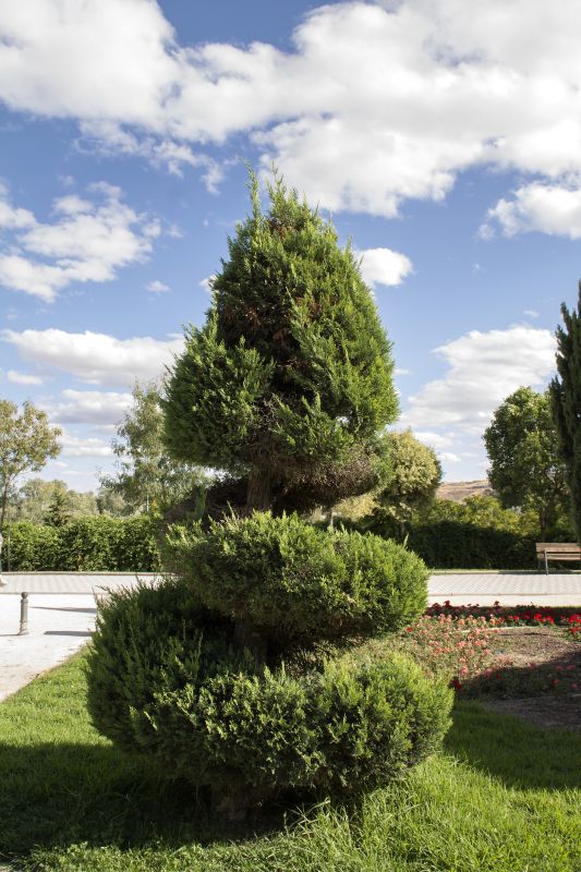 Improve Airflow and Sunlight