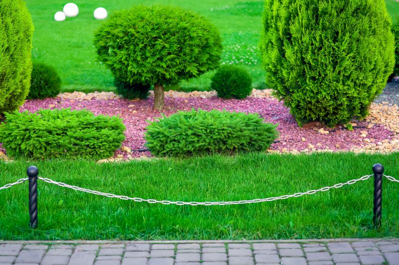 Fresh Cypress Trimmings