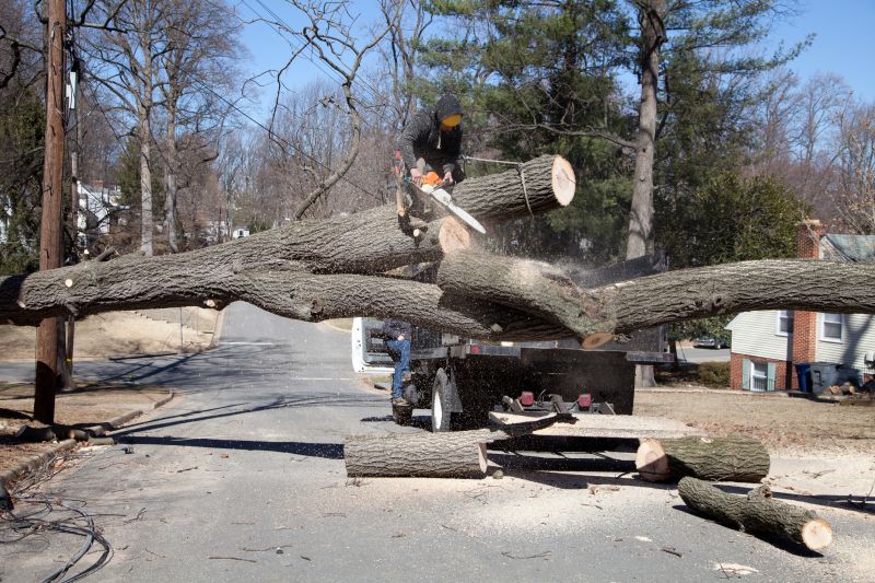 Emergency Tree Removal in Pottstown, PA