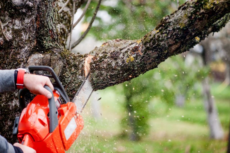 Limb Pruning in Doylestown, PA