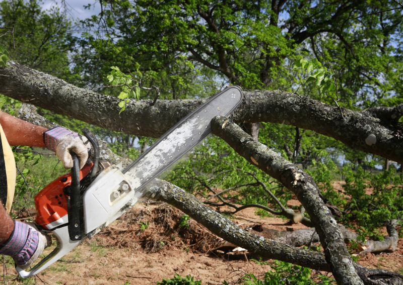Residential Tree Service in Bucks County, PA