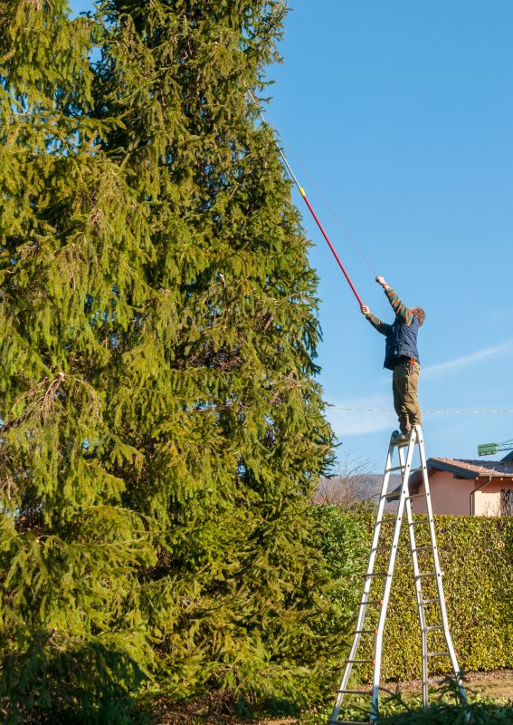 Ladder and harness setup